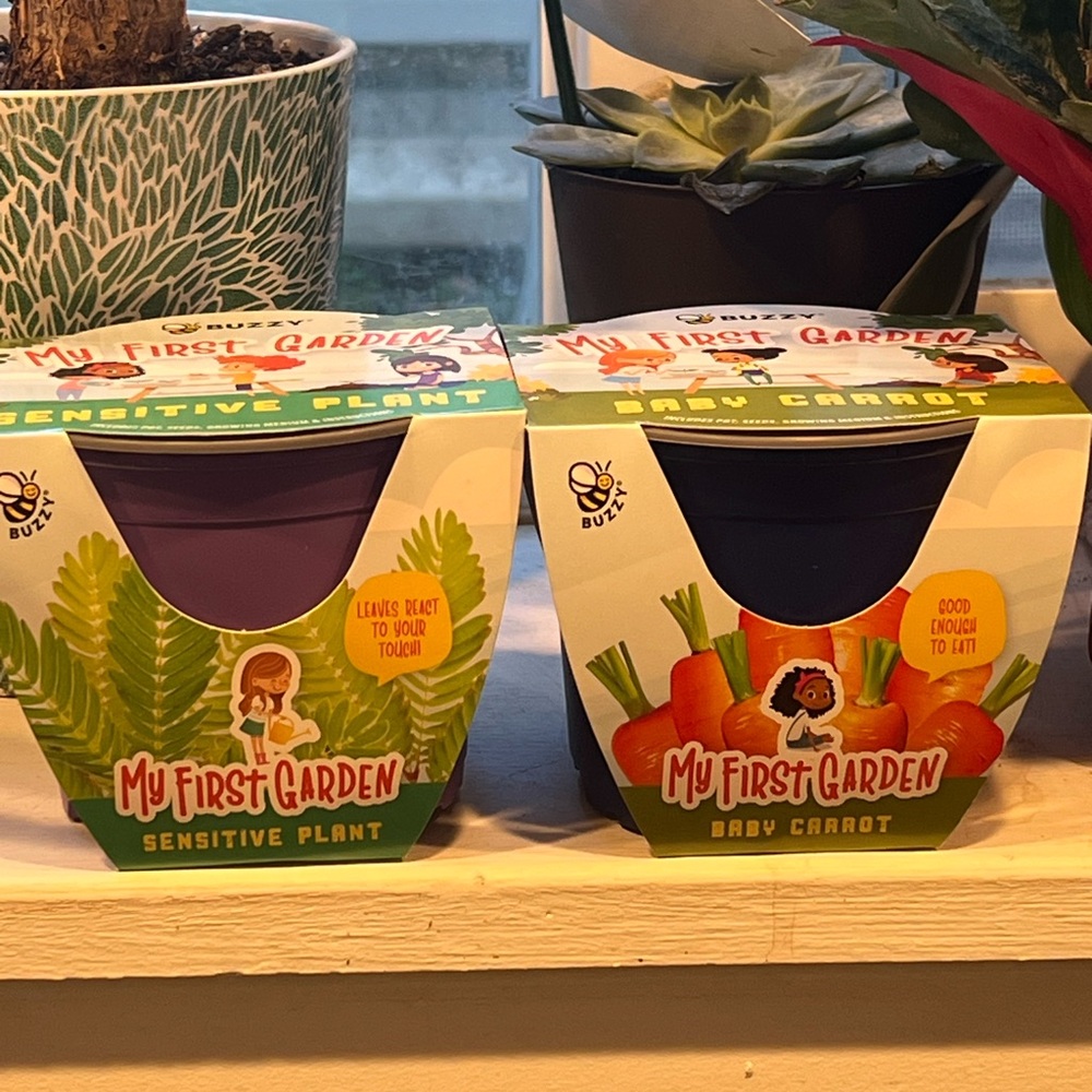My First Garden Plant Kits